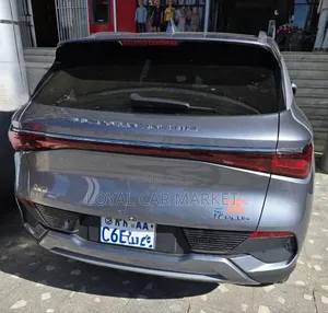 BYD Yuan Plus 2024 Gray