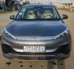 BYD Yuan Plus 2024 Gray