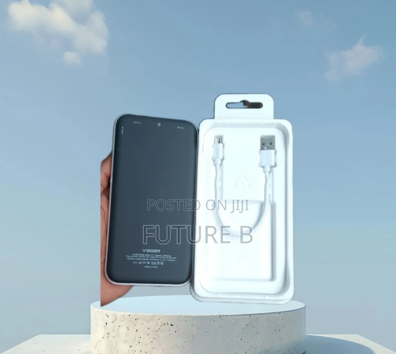 Brand New Veger Powerbank: Multiple Ports