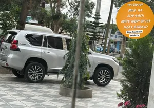 Toyota Land Cruiser Prado 2013 Silver