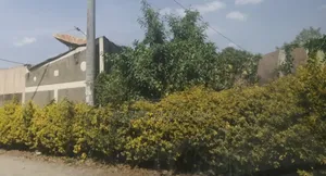 Photo - Bisrate Gebreal, Old House for Sale 900sqm