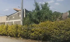 Bisrate Gebreal, Old House for Sale 900sqm