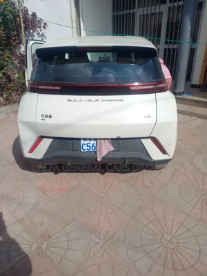 BYD Seagull 2023 Off white