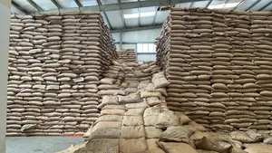 Photo - Sugar Indian