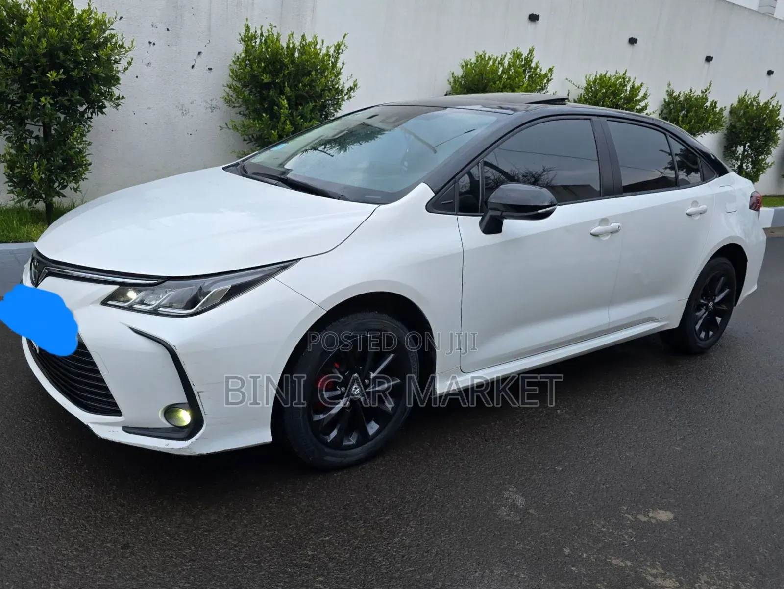 Toyota Corolla 2023 White