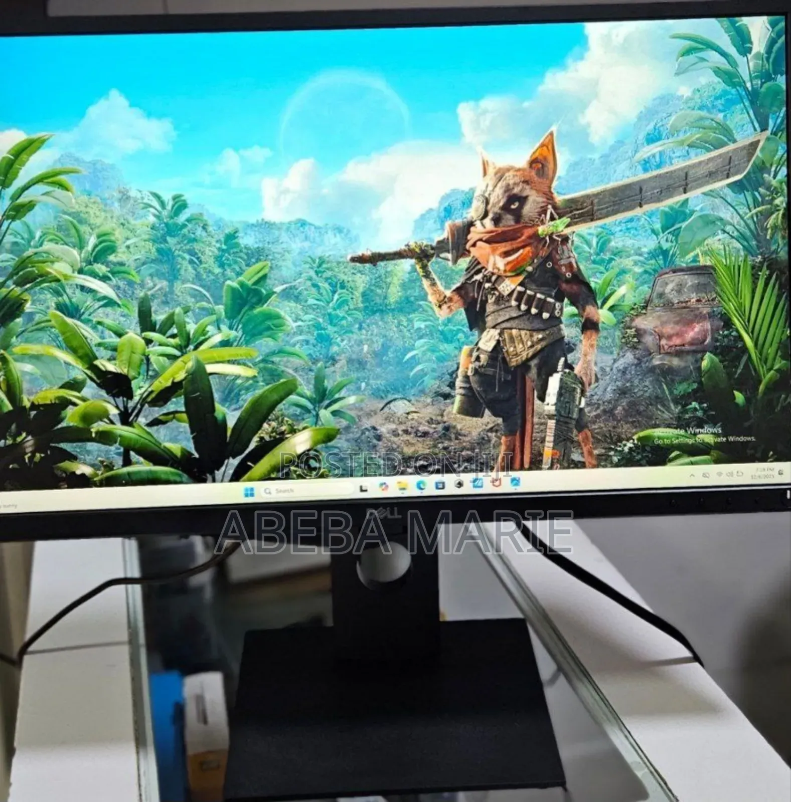 24 Inch FHD Dell Monitor