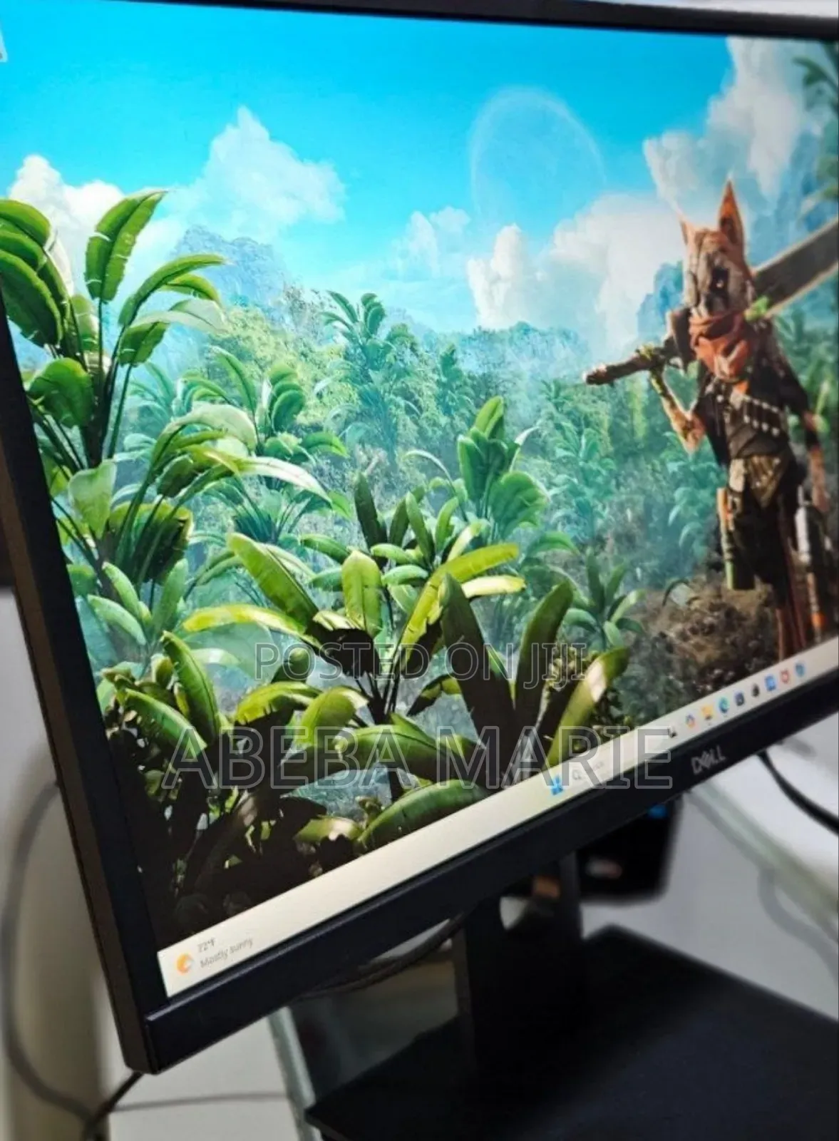 24 Inch FHD Dell Monitor