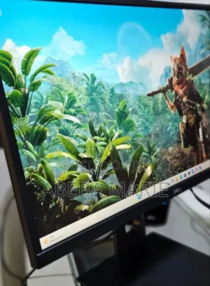 24 Inch FHD Dell Monitor