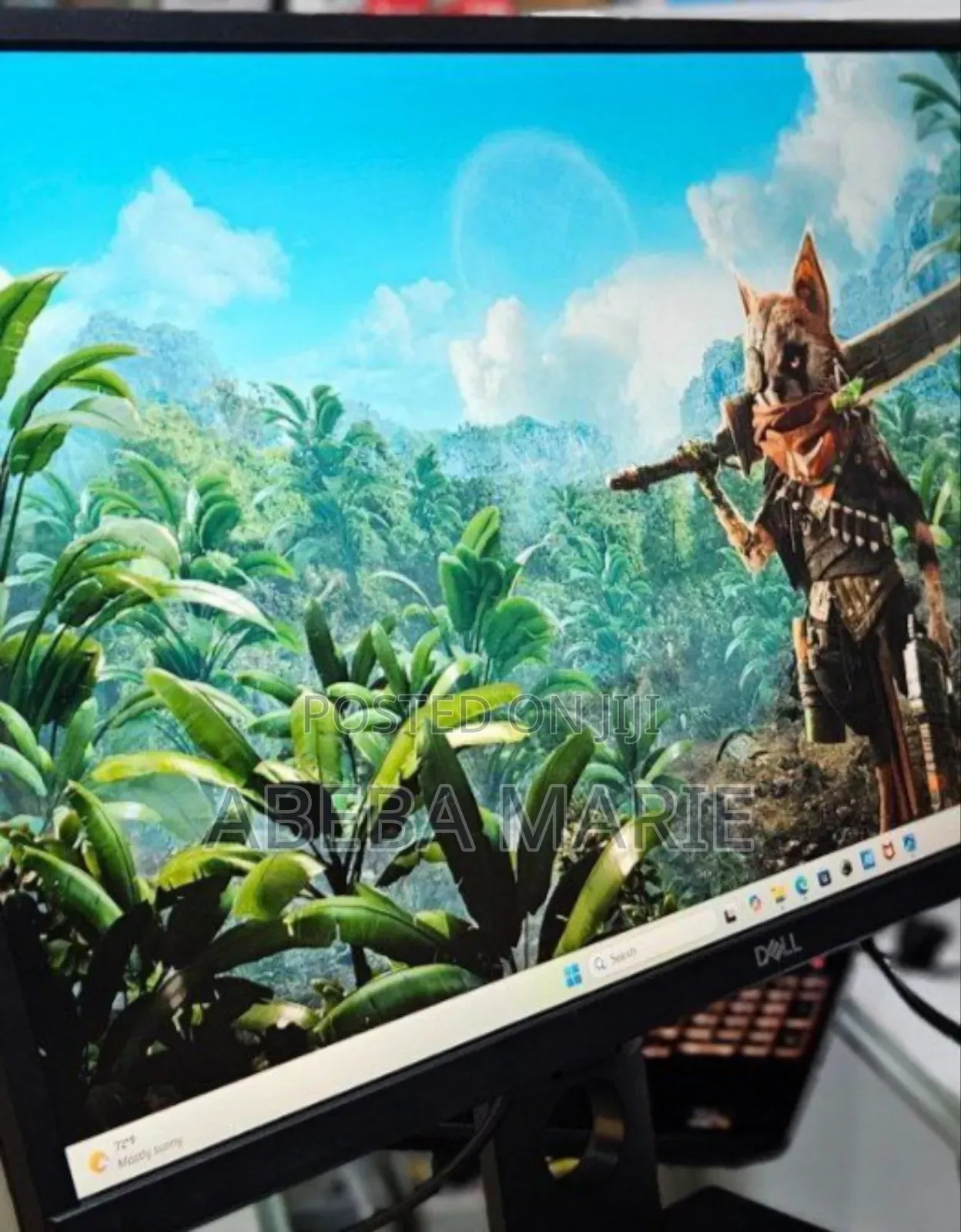 24 Inch FHD Dell Monitor