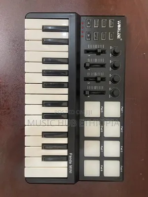 Photo - World Panda Mini Studio Midi Keyboard