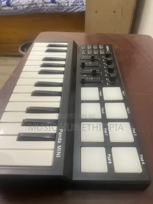 World Panda Mini Studio Midi Keyboard