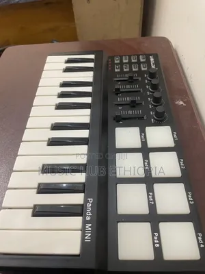 World Panda Mini Studio Midi Keyboard
