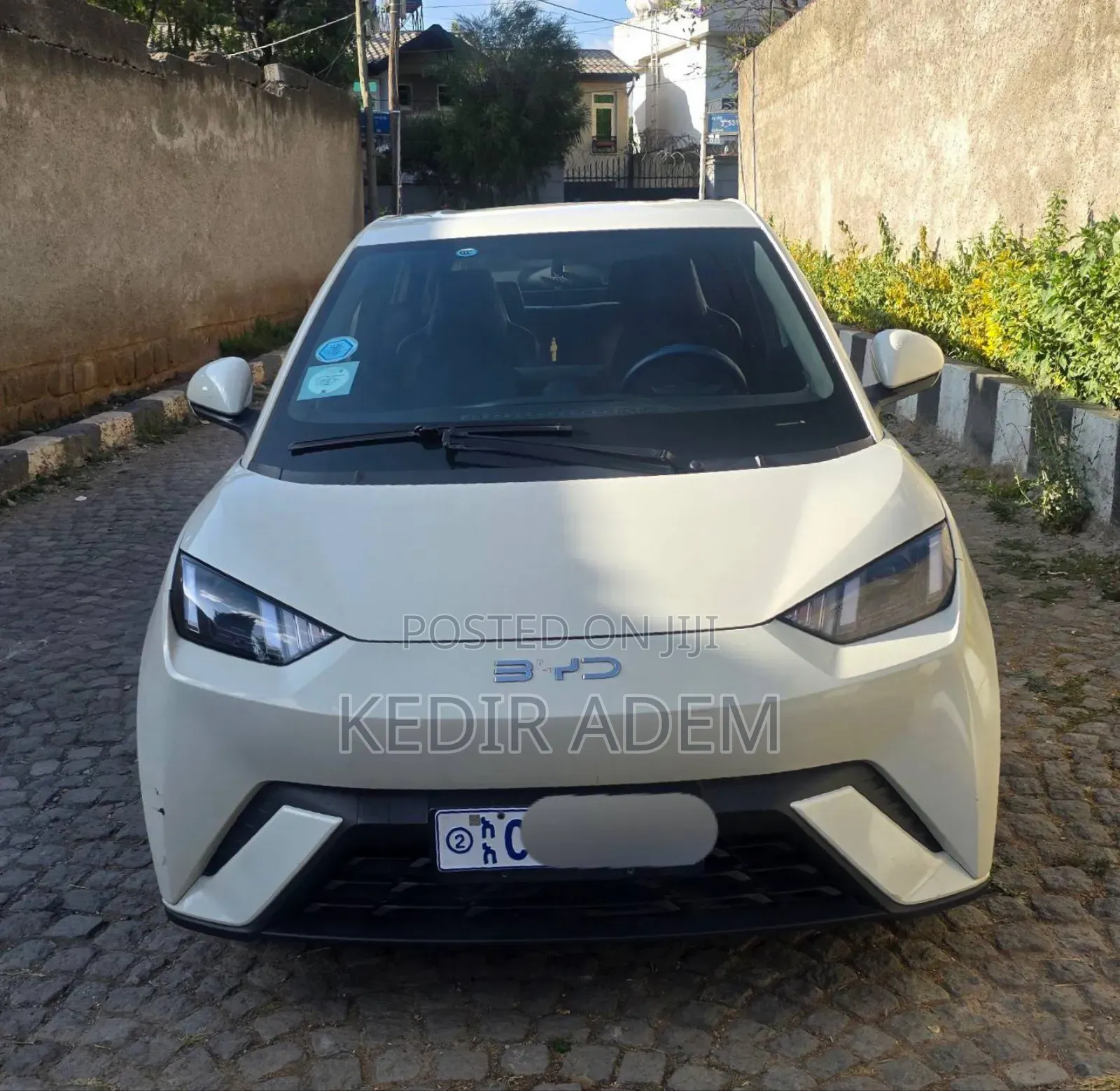 BYD Seagull 2024 White