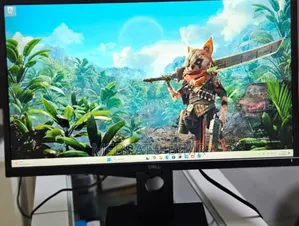 Photo - Hp 24 Inch Frameless Monitor