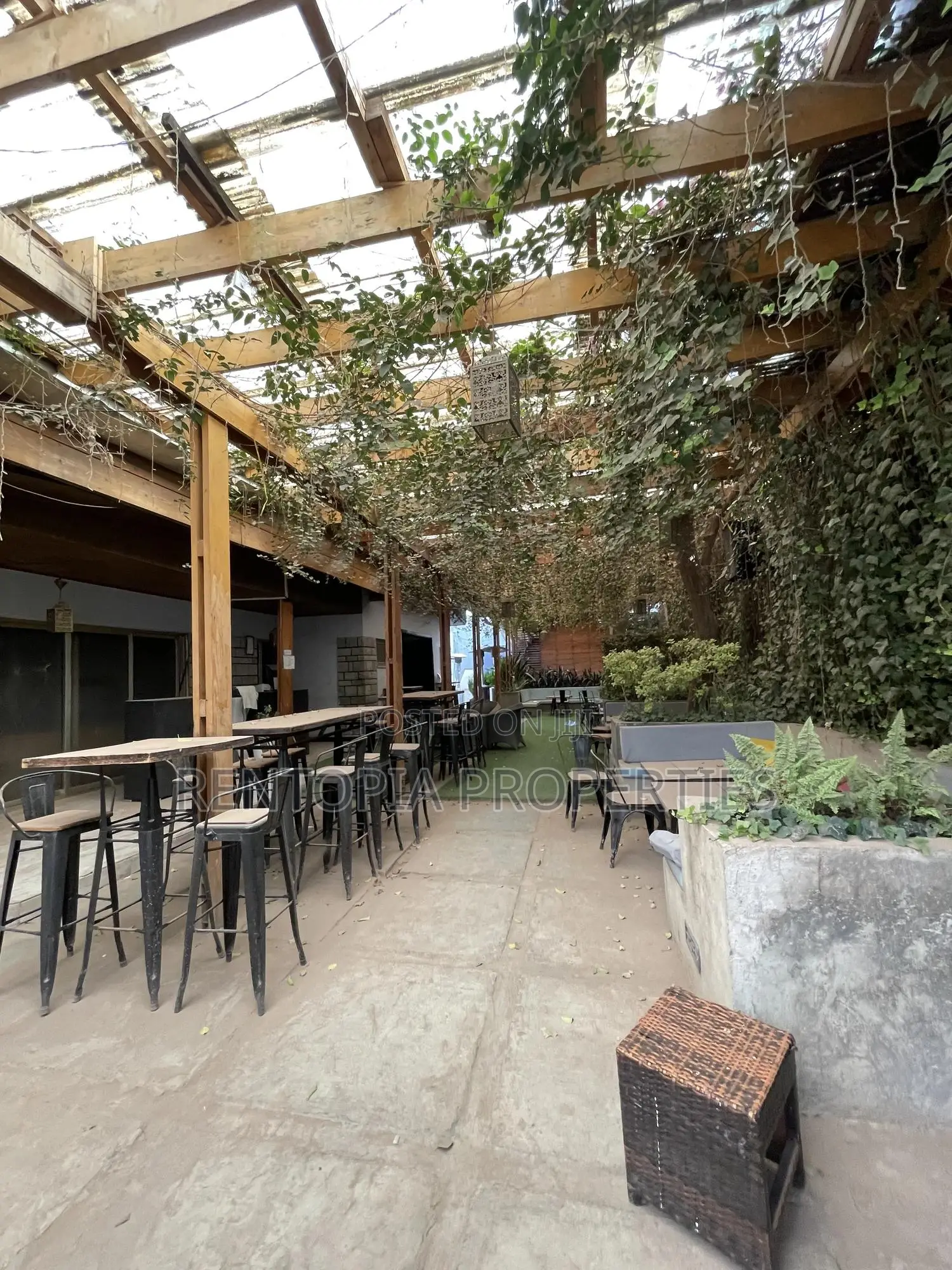 Bar Restaurant for Rent! At Bole!