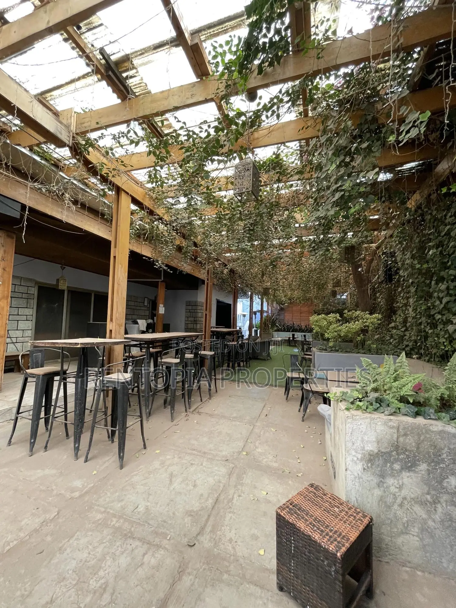 Bar Restaurant for Rent! At Bole!