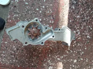 Photo - Nissan Water Pump