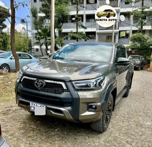 Photo - Toyota Hilux 2024 Brown