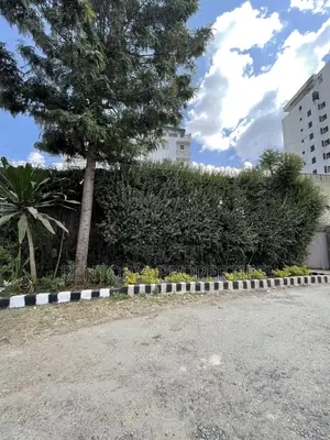 309sqm Land for Sale! የሚሸጥ 309ካሬ! መሬት