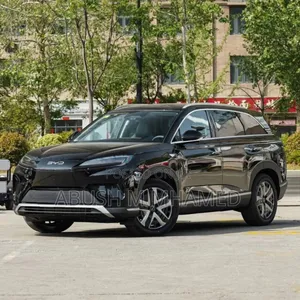 New BYD Sealion 7 DM 2025 Black