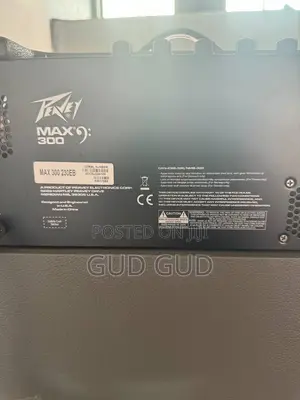 Peavey Max 300 Bass Combo Amp – Great Condition!