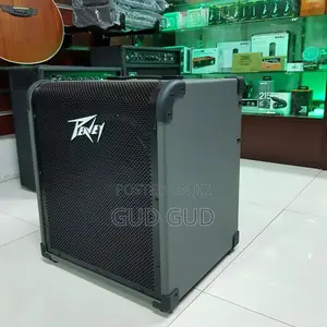 Peavey Max 300 Bass Combo Amp – Great Condition!