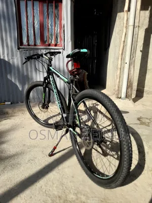 Photo - Bicycles Tricycles