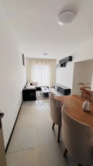 Furnished 1bdrm Apartment in Bole for sale