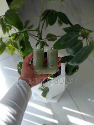 Decorative Candles for X-Mas