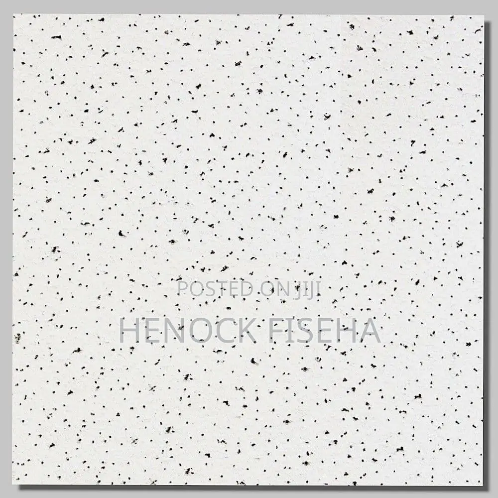 Acoustic/Armstrong Ceiling Tiles