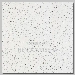 Acoustic/Armstrong Ceiling Tiles