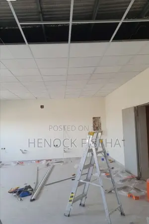 Acoustic/Armstrong Ceiling Tiles