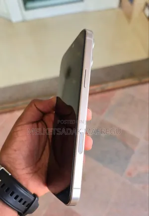 Apple iPhone 16 Pro Max 256 GB Gray