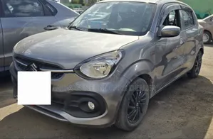 Suzuki Celerio 2022 Silver