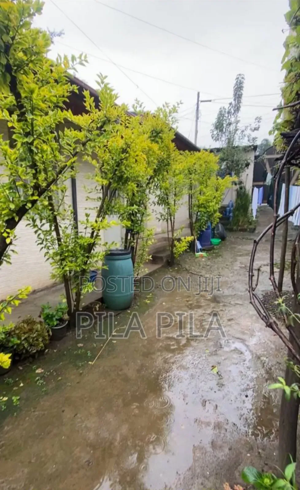 1bdrm House in Kolfe Keranio for sale