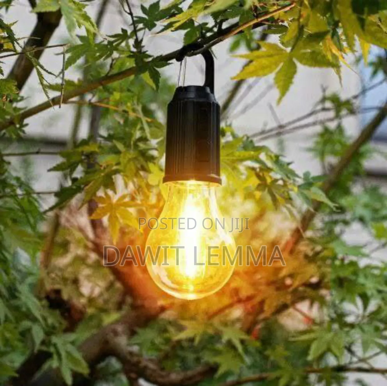 Rechargeable Vintage Camping Light