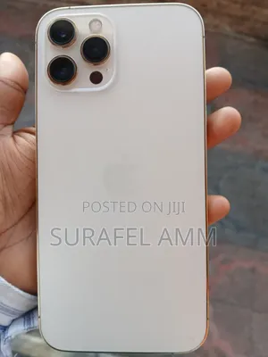 Apple iPhone 12 Pro Max 256 GB Gold