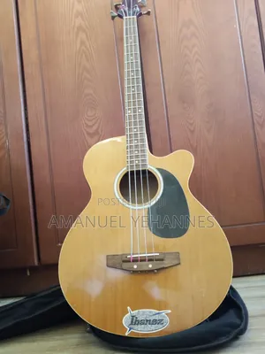 Ibanez Semi Acoustic Bass Guitar