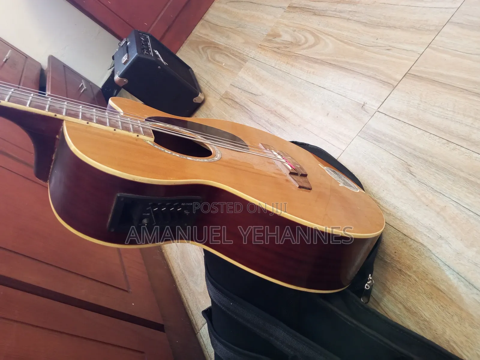 Ibanez Semi Acoustic Bass Guitar