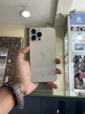 Apple iPhone 13 Pro Max 256 GB