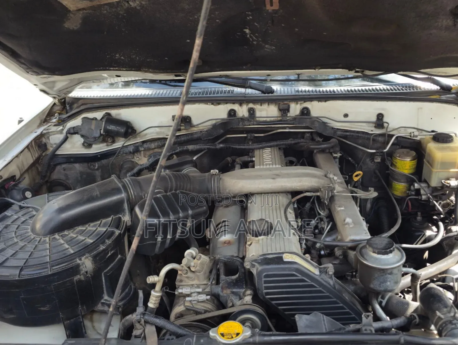 Toyota Land Cruiser 2006 White