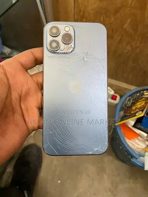 Apple iPhone 12 Pro Max 256 GB Blue