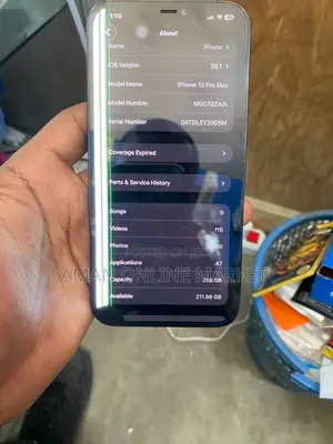 Apple iPhone 12 Pro Max 256 GB Blue