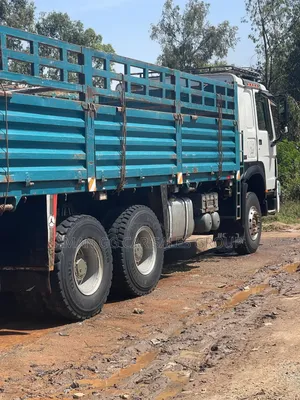 Cinotruck. Cacion 2022. Model