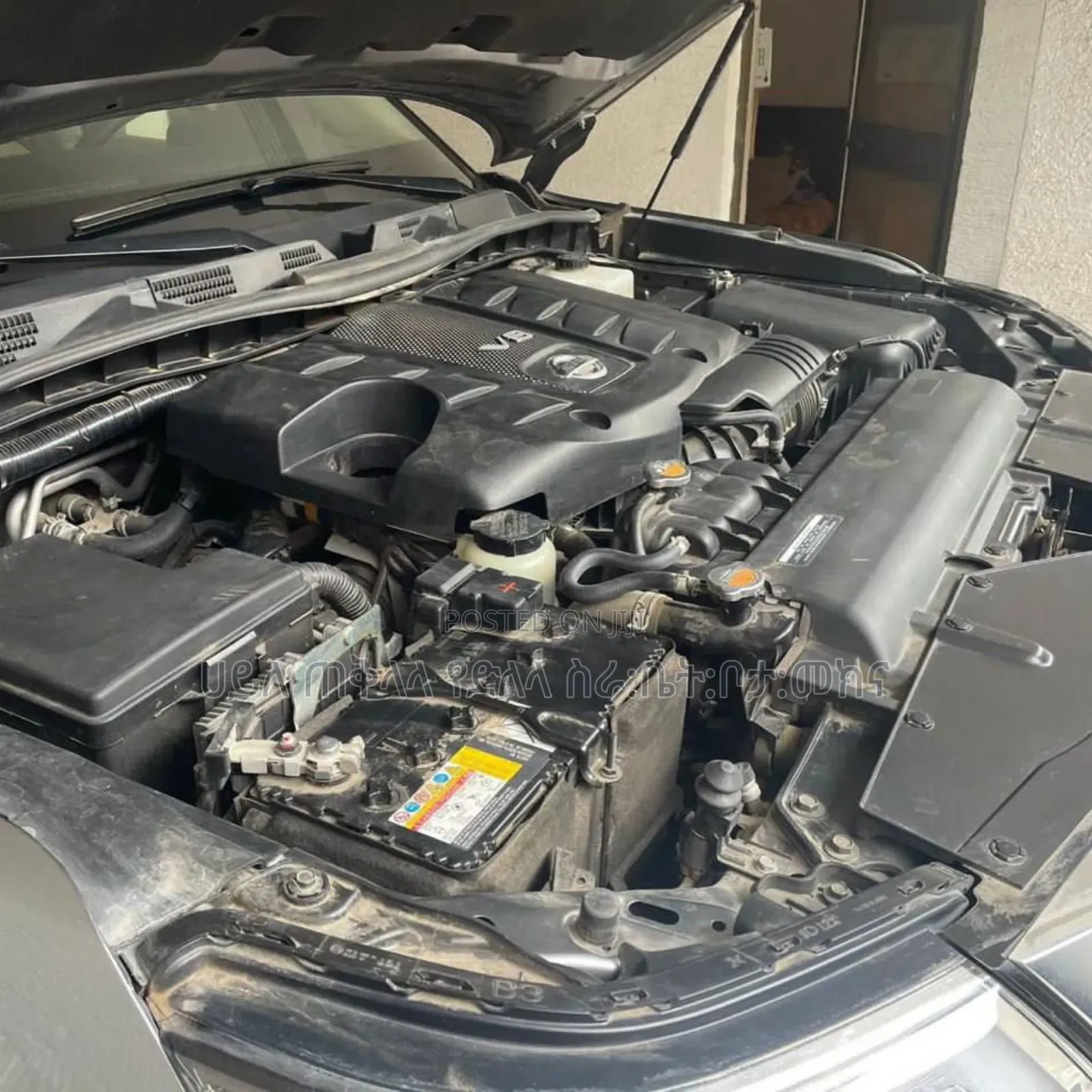 Nissan Patrol 2021 Teal