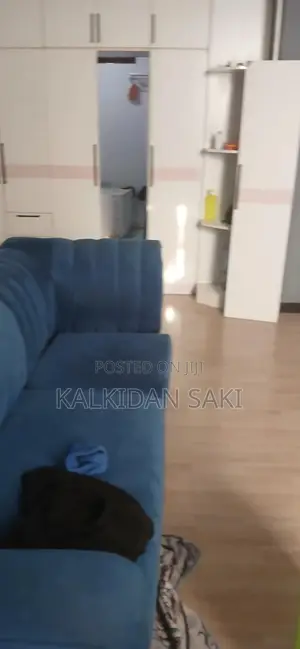 Furnished Studio Apartment in Akaky Kaliti for rent