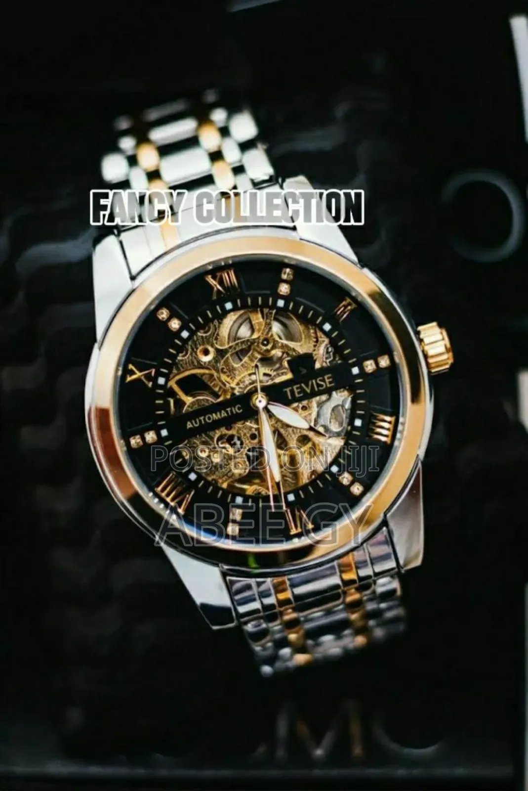 Tevise Automatic Mechanical Watches — Where Luxury Meets Precision