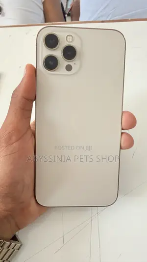 Photo - Apple iPhone 12 Pro Max 128 GB Gold