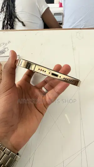 Apple iPhone 12 Pro Max 128 GB Gold