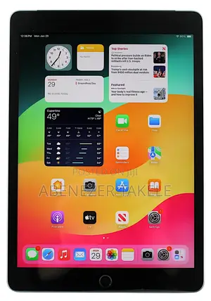 Apple iPad 10.2 (2021) 64 GB Gray